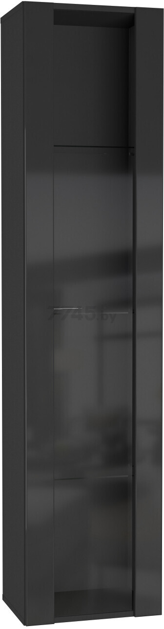 Шкаф навесной НК МЕБЕЛЬ Point тип-41 черный/черный глянец 40х29х170 см