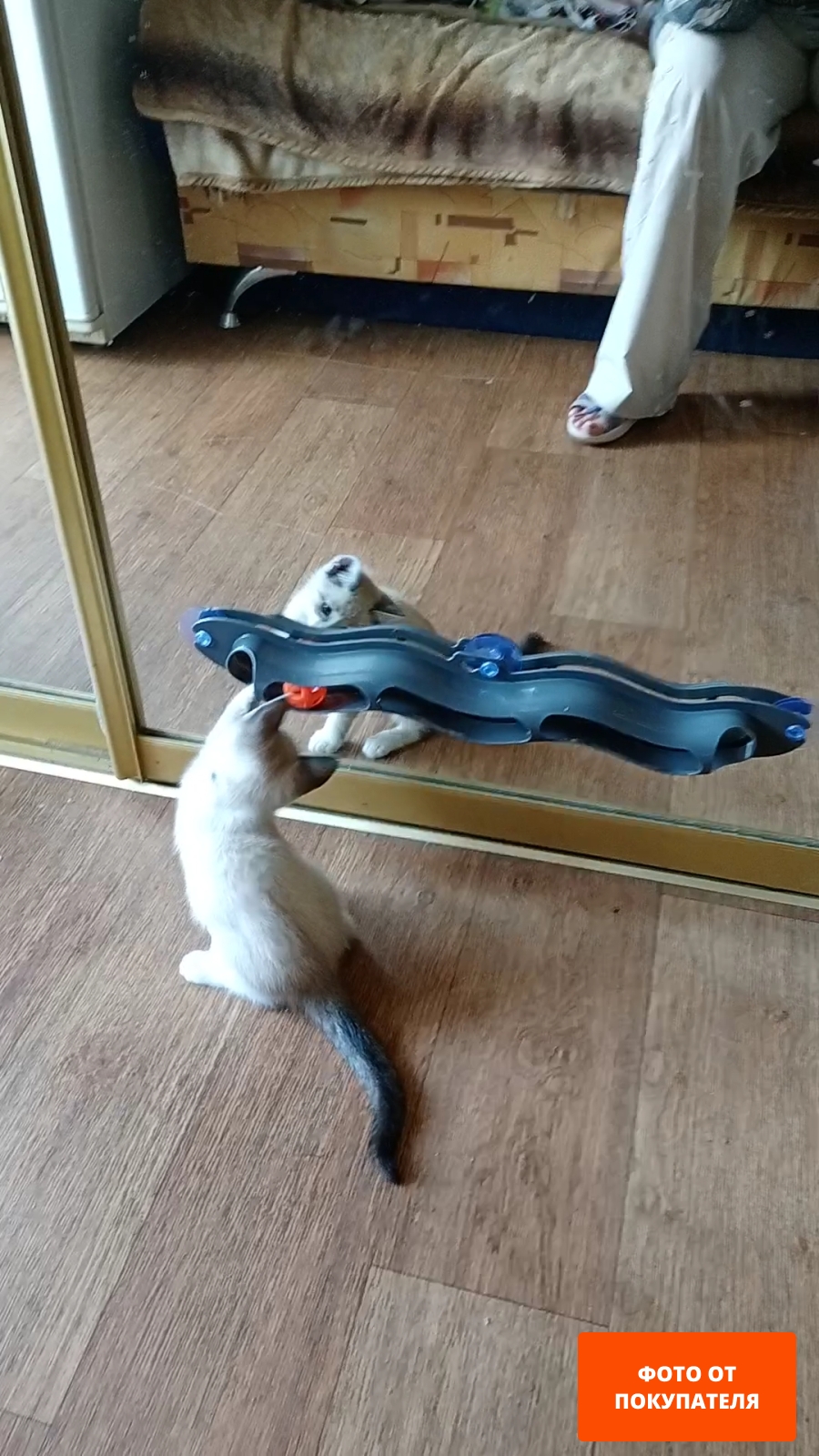 Игрушка для кошек TRIXIE Fix & Catch с креплением на стекло 45 см (41416)