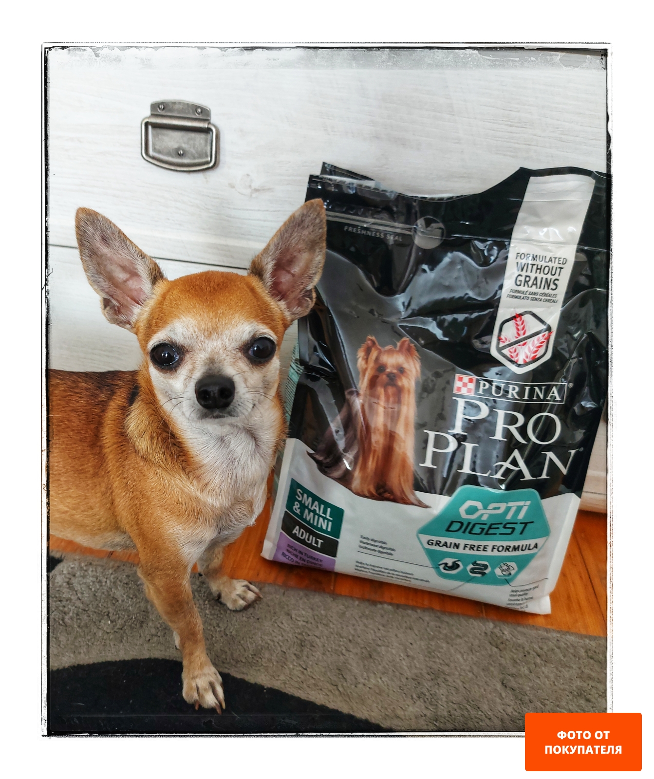 Сухой корм для собак беззерновой PURINA PRO PLAN Grain Free Small&Mini Adult индейка 0,7 кг (7613036730921) - Фото 2