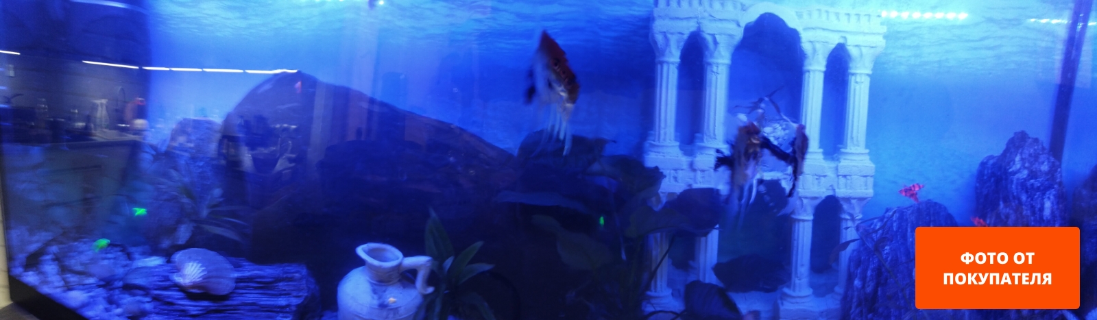 Декорация для аквариума LAGUNA Кувшин скифский 100х72х122 мм (74004157) - Фото 2