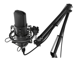 Микрофон RITMIX RDM-169 Black