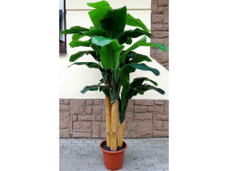 Искусственное растение FORGARDEN Банан Banana tree 210 см 