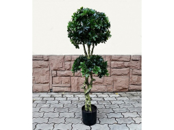 Искусственное растение FORGARDEN Pittisporum double 137 см 