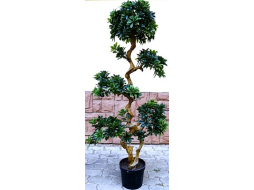 Искусственное растение FORGARDEN Pittisporum bonsai 150 см 