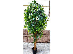Искусственное растение FORGARDEN Фикус Ficus benjamin baft tree 180 см 