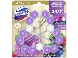Блок для унитаза DOMESTOS Power 5 Aroma Lux