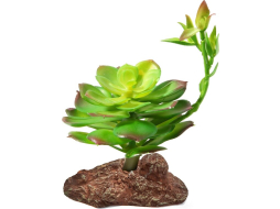 Растение искусственное для террариума LAGUNA Эониум 10x10x16 см 