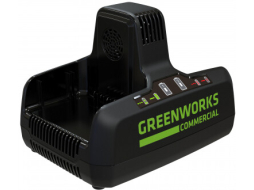 Зарядное устройство GREENWORKS G82C2 82В 