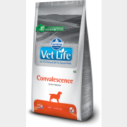 Сухой корм для собак FARMINA Vet Life Convalescence 2 кг (8010276025210)