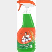 Средство для мытья стекол MR.MUSCLE Утренняя Роса 0,53 л (5000204325546)