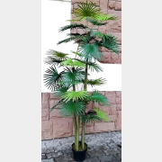 Искусственное растение FORGARDEN Пальма Palm washington tree 180 см (FGN_BF00595)