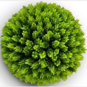 Искусственное растение FORGARDEN Самшит Fir grass ball dia 48 см (FGN_BF01023)
