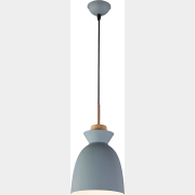 Светильник подвесной ESCADA 1107/1S серый