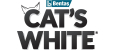 CATS WHITE