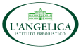 логотип бренда L'ANGELICA