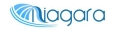 логотип бренда NIAGARA