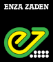 логотип бренда ENZA ZADEN EXPORT