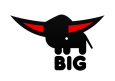 логотип бренда BIG