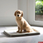 Лоток для собак TRIXIE Puppy Loo Puppy Toilet 49х41 см (23415) - Фото 3