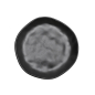 Тарелка керамическая десертная KERAMIKA Organic черный матовый (4811446000303) - Фото 2