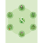 Мыло жидкое SYNERGETIC Антибактериальное Имбирь и бергамот 99,9 % 1 л (105102) - Фото 9