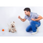 Игрушка для собак LIKER 7 Мяч d 7 см (6294) - Фото 5
