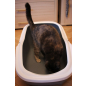 Лоток для кошек SAVIC Aseo серый 56х39х27,5 см (020400WG) - Фото 5
