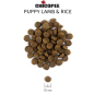 Сухой корм для щенков CHICOPEE CNL Puppy ягненок с рисом 2 кг (8287002) - Фото 2