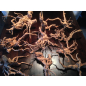 Коряги для аквариума AQUAEL Driftwood Mix Pack 8-10 кг (246311) - Фото 2