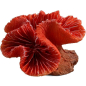 Коралл искусственный для аквариума LAGUNA Каталофиллия красная 2901LD 8х7х5 см (74004104)