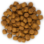 Сухой корм для щенков HILL'S Science Plan Puppy Medium ягненок и рис 0,8 кг (52742024998) - Фото 6