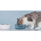 Миска для животных FURRYTAIL Bobowl Cat Bowl d15x6,5 см голубой (BBB) - Фото 8
