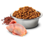 Сухой корм для собак беззерновой FARMINA N&D Quinoa Skin & Coat перепел с кокосом 2,5 кг (8010276035622) - Фото 2