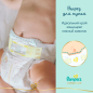 Подгузники PAMPERS Premium Care 3 Midi 6-10 кг 148 штук (8001841648828) - Фото 6