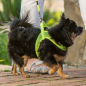 Шлейка для собак ROGZ Fast-Fit Harness Medium/Large Blue 58 см (RSJQ58B) - Фото 4