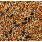 Корм для мелких и средних попугаев ВАКА Высокое качество 0,5 кг (BS006) - Фото 2