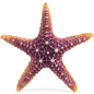 Звезда морская искусственная для аквариума LAGUNA 16х16х3 см (74004166) - Фото 2