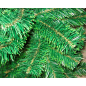 Ель искусственная GREENTERRA с зелеными концами 180 см - Фото 5