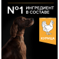 Сухой корм для собак PURINA PRO PLAN Large Adult Athletic курица с рисом 14 кг (7613035120440) - Фото 5