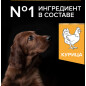 Сухой корм для щенков PURINA PRO PLAN Large Puppy Athletic курица с рисом 12 кг (7613035120365) - Фото 5