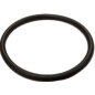 Кольцо колена для насоса ECO DP-601/753 (5013527-17)