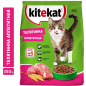 Сухой корм для кошек KITEKAT Телятинка аппетитная 0,35 кг (4607065371227) - Фото 2