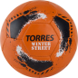 Футбольный мяч TORRES Winter Street №5 (F020285)
