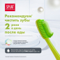 Зубная паста SPLAT Professional Зеленый чай 100 мл (4603014001085) - Фото 7