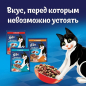 Сухой корм для кошек FELIX Двойная вкуснятина мясо 0,6 кг (7613287861702) - Фото 7