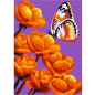 Картина по номерам WIZARDI Огненные цветы 16х13 см (mini120)