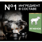 Сухой корм для собак PURINA PRO PLAN Medium Adult Sensitive Digestion ягненок с рисом 7 кг (7613035228153) - Фото 5