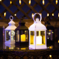 Ночник декоративный светодиодный NEON-NIGHT Фонарь с лампочкой белый (513-052) - Фото 4