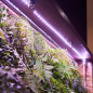 Комплект светодиодной ленты для растений полного спектра UNIEL ULS-P71 2 метра (UL-00007572) - Фото 3