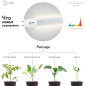 Фитолампа для растений полного спектра ЭРА FITO-18W-Ra90-Т8-G13-NL Т8 G13 18 Вт - Фото 4
